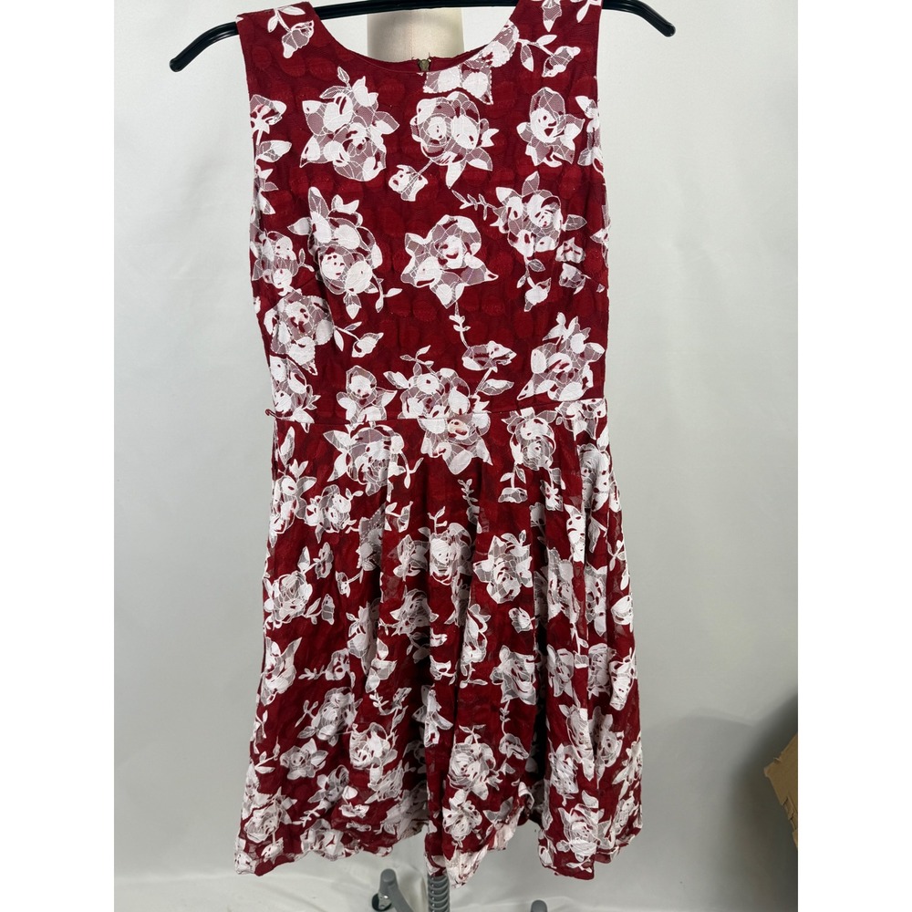 Danny Nicole Womens Dress Size 4 Floral Fit Flare Feminine‎ Formal Casual